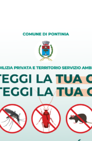 testo e immagine insetti